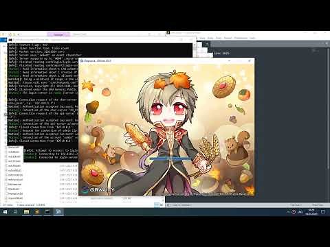 Ragnarok Offline on your PC in 5 minutes. Complete solution 2025