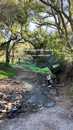 Exploring Castle Rock: A Scenic Hike in Walnut Creek