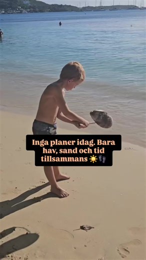 Kokosnötter, turkost vatten, fin sand ☀️ Jag behöver inte säga så mycket mer väl? Martinique levererar. Och de här dagarna när timmarna bara försvinner på stranden. De sparar jag. 💙☀️🌊👣 Som jag älskar att hänga här med er. Min familj ❤️ 👉 Håller du med, fler såna här dagar?