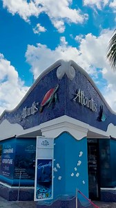3K views · 42 reactions | Looking for a new experience? The #submarine tour it’s the best option for you and your family!朗✨#Cozumel #Submarino #Mexico #Experience #Vacations | Atlantis Submarines Cozumel | Facebook