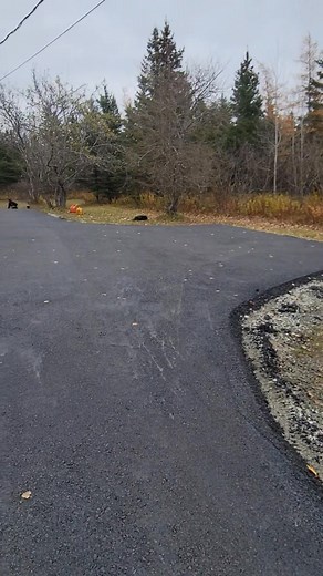 Gorgeous one done today in no time.. thanks to our crew. 😊 Aaron Seward.. This cool air is good for the soul, and makes them work faster 😂 | Coady Fitzgerald