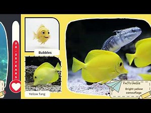 Finding Nemo Characters vs Real Animals Part 2 🐠 Real Lifespans Revealed!