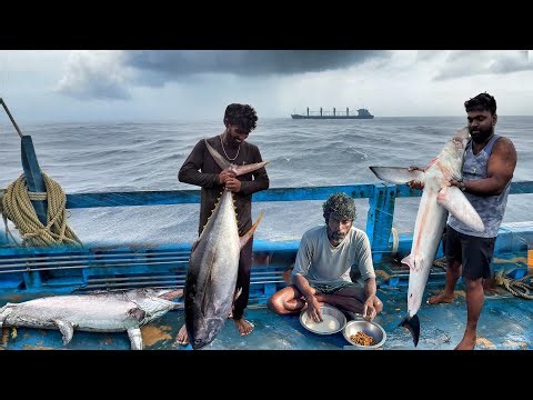 🌊 They Faced a Monster Storm… Then Caught Giant Fish! 🎣 | Extreme Deep Sea Fishing