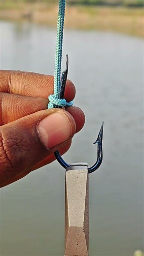 perfect fish idea ✅💡 #shorts #lifehacks #fishing #skills #viral