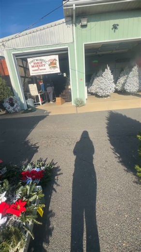 Tony Morelli's Market on Reels