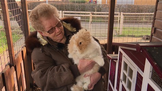 Annie (83) luidt de noodklok: 'Zonder extra vrijwilligers gaat dierenweide De Toonladder dicht'