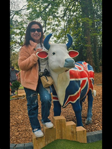 thank you 2025, its been a journey. Looking forward to what 2026 will offer #2025memories @darmakcas @darren @. #CapCut