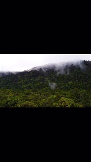 Tomorrow is the release of our YouTube video about the jungle survival course 🥳 It can be hard to fully grasp what this course is really about, how it’s structured, how we prepare participants, and what leads up to their solo-phase in the jungle. It’s definitely not what people think! Even though most come in with some kind of pre-set expectation, we’ve found that almost everyone is surprised by how the course is actually designed. The course was originally created by Ian Craddock of Bushmaster