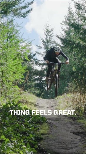Fox 38 chassis handles anything #mtb #bikeshorts