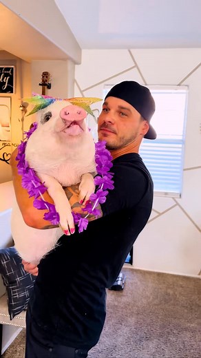 Well that was a FIRST! Daisy had some serious thoughts about this lip lickin’ battle 😆🐽 @marcus_tinsley_ #pigsaspets #animallover #vegan #foryourpage #wholesomemoments | Lam Plaphol