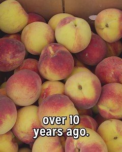 Delivering fresh, tree-ripened peaches to a local pick up in a city near you. SIGN UP to be the first to know when we'll be in your neck of the woods. | The Peach Truck