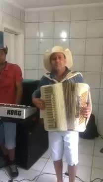 Live Music Performance with Accordion and Keyboard