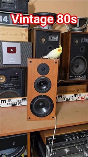 Vintage German Speakers: A Sonic Design Journey