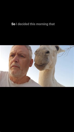 42K views · 2.6K reactions | Losing my train of thought, but he wasn't listening anyway! | Jacobs Ridge Animal Sanctuary | Facebook