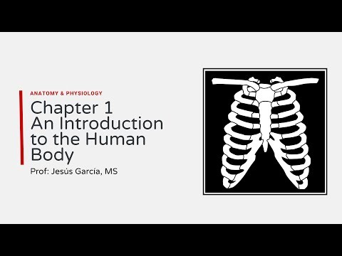 1. Introduction to the Human Body