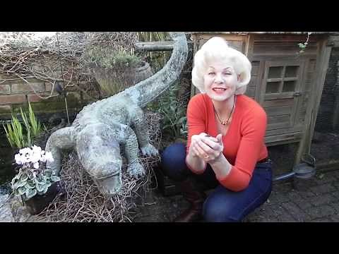 Jeanne Willis reads The Bog Baby