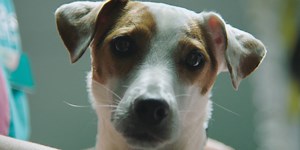 Charity video production showreel | Inspire, educate, and take action