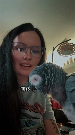 This Parrot Used Alexa to Go Shopping #parrot #alexa #funnyfacts #smartanimals #foryou