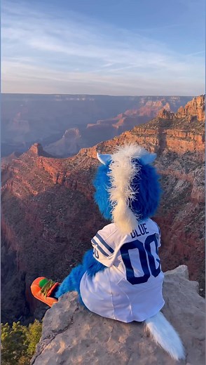 living on the edge 😳 | Blue Indianapolis Colts Mascot