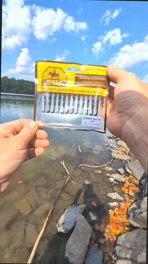 Catching a Bass with Mule Fishing Donkey Tail Jr Soft Plastic Lure #fishing #pageviralシ゚ #pageforyou #virals #post #bassfishing #survival #fish #catchfish #flyfishing | Zandy Stein