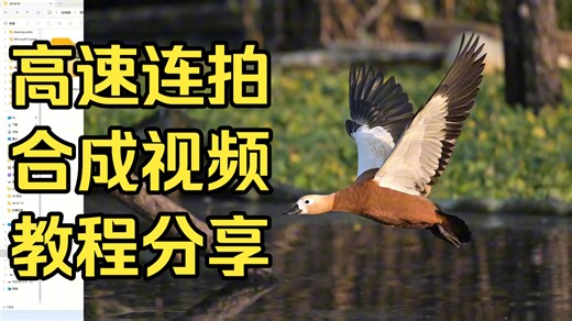 【后期分享】高速连拍转视频（三种方案，剪映、PR AME、shutter encoder）