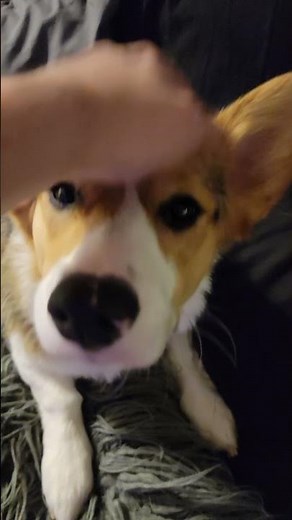 How To Touch Grass For Gamers That Truly Need It