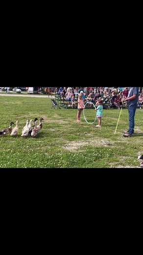 42K views · 715 reactions | The Quack Pack USA on Reels | Facebook