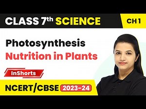 Photosynthesis | Class 7 Science Chapter 1 | Nutrition in Plants