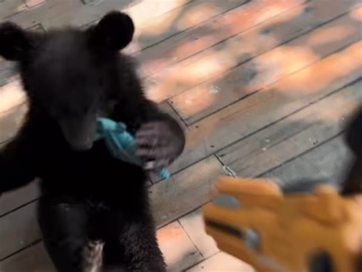 15今天开启暴走模式 狂打架 吓坏星瑶