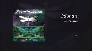 「HiRes音质」魔力与自然的完美结合，大蜻蜓的音乐太舒服了。Odonata-Amethystium_哔哩哔哩_bilibili