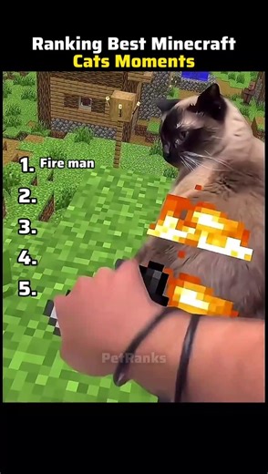 Ranking Best Minecraft Cat Moments😹😅