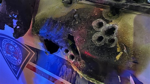 Greenville police officer is shot and wounded in 'ambush-style' attack over the weekend