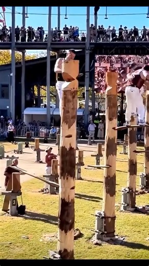 1.3M views · 4.8K reactions | The Lumberjack World Championships, held annually in Hayward, Wisconsin, is considered the Olympics of the sport, featuring a wide variety of events like chopping, sawing, log rolling, and speed climbing. Another prestigious competition that could be considered is the global STIHL TIMBERSPORTS series, which includes many of the same events but operates on an international league format. | FACT | Facebook