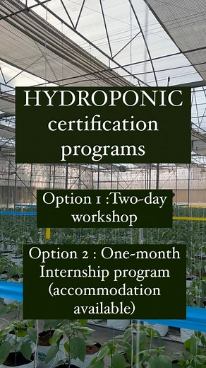 AgroTIE | Teach Inspire Enhance on Instagram: "HYDROPONIC CERTIFICATION PROGRAMS🌻 We have two options available: Option 1: A two-day workshop where we cover most of the basics and get you started in the field of substrate hydroponic cultivation! Date : 19th and 20th January 2024 Happens every month : Link is in our bio. _______________________________________________ Option 2: One-Month Internship Program for Agri-enthusiasts and Agri-students who have a keen interest in building knowledge and 