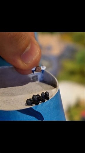 How to add a living scene to a diorama