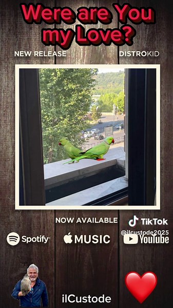 The parrots cry, the morning glows, the sunlight cuts through shutters closed. A gentle wind slips through the glass, but all I feel is what has passed. The bed is cold, your shape is gone, I reach for you, but I’m alone. Your name still lingers in the air, but you’re not here, you’re nowhere. [Chorus] Where are you, my love, where did you fly? You left me here with no goodbye. If you return, you won’t be the same — a different smile, a different name. Where are you, my love? Come back, come thr