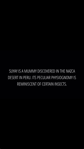 Meet SUYAY — the Mysterious Pregnant Nazca Mummy That’s Changing History, one we have found similar carvings of years before this discovery detailed in my book Ojuelos de Jalisco. Discovered in Peru, this tiny, 1,000 year-old being isn’t just a mummy… it’s a riddle wrapped in bone and mystery. With an elongated skull, three fingers, and non-human proportions, SUYAY is reshaping everything we thought we knew about the ancient Nazca. Alien? Hybrid? Lost species? The truth is more shocking than fic