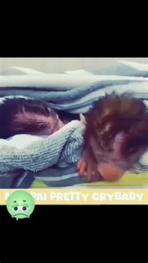 Exploring the Slack Life of Baby Monkeys