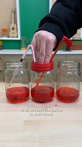 44K views · 1.3K reactions | Ever wonder how your heart works? 樂變...