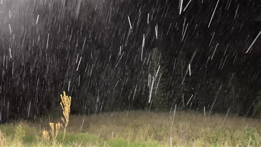 The Llama Farm on Reels