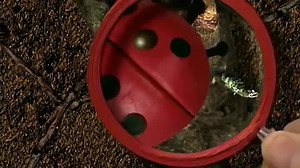 Blue's Clues (Nederlands) 2x04 Welk experiment wil Blue proberen?