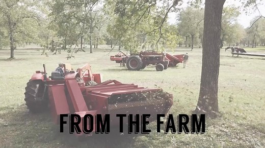 "LOVE THEIR PECANS AND CAN'T BEAT THEIR PRICES" -- Jessica, York Pecan Customer Fresh, quality pecan in every box! https://www.yorkpecanshop.com/collections/pecans | York Pecan