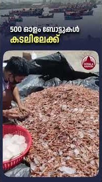 500 ഓളം ബോട്ടുകള്‍ കടലിലേക്ക് | #kollam #fishermen #fishingboats #neendakara #heavyrain