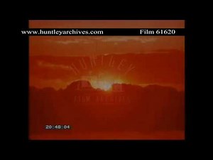 Baseball, 1960's. Archive film 61620