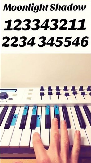 Moonlight Shadow - Piano Tutorial #piano #music #shorts