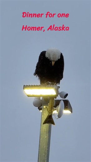 Eagle Perch restaurant, bring your own food￼