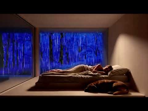 NOADS - Tropical Downpour in Rainforest Canopy: Immersive Sounds for Wild Dreams