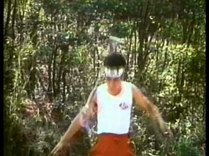 Ninja Champion - Ninja scene 01