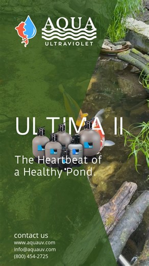 aquauv on Instagram: "Aqua Ultraviolet’s Ultima II pond filter is an advanced bio-mechanical filter designed specifically for extreme loads and elevated rates. It features our patented cyclonic backwash system that will do all the dirty work for you – just set the value to backwash and rinse, and the filter’s internal jets do it all. These filters are seeded with bacteria that convert dissolved toxic nitrogenous waste like ammonia into compounds that won’t harm aquatic life and work like a centr