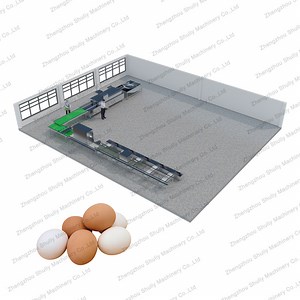 [Hot Item] Good Feedback Egg Washing Machine Egg Drying and Sorting Processing Line
